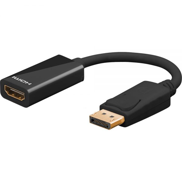 DisplayPort Adapters